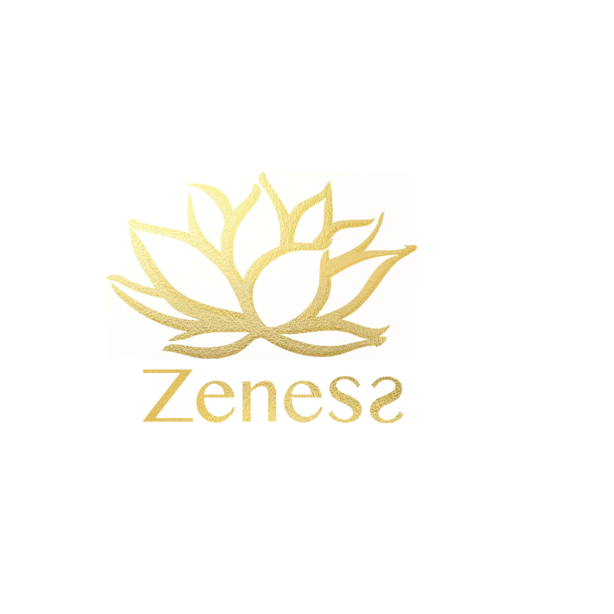 Zeness Lash and Body Studio